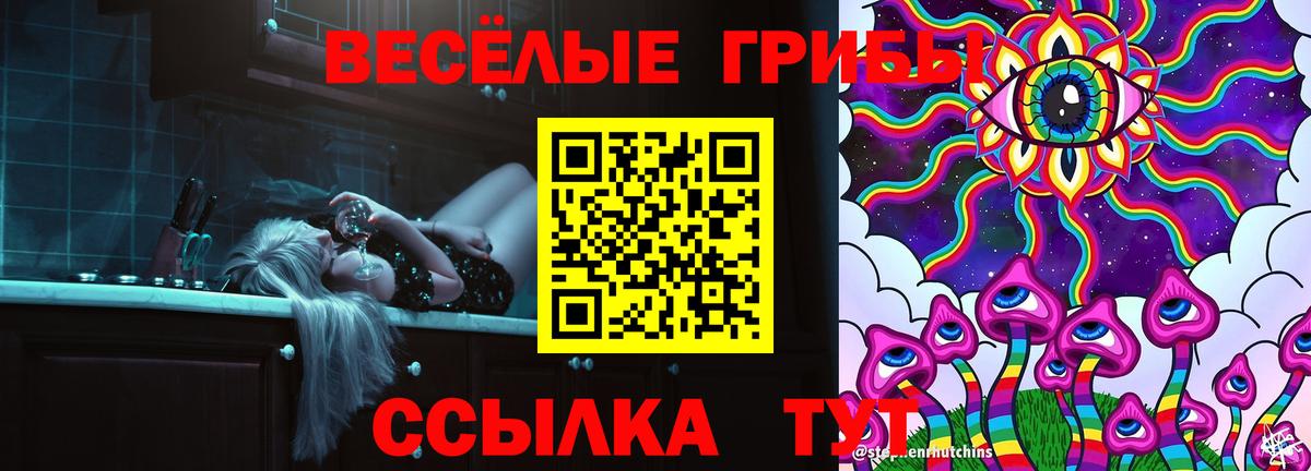Елабуга  Псилоцибиновые грибы MAGIC MUSHROOMS  Вход с VPN 
