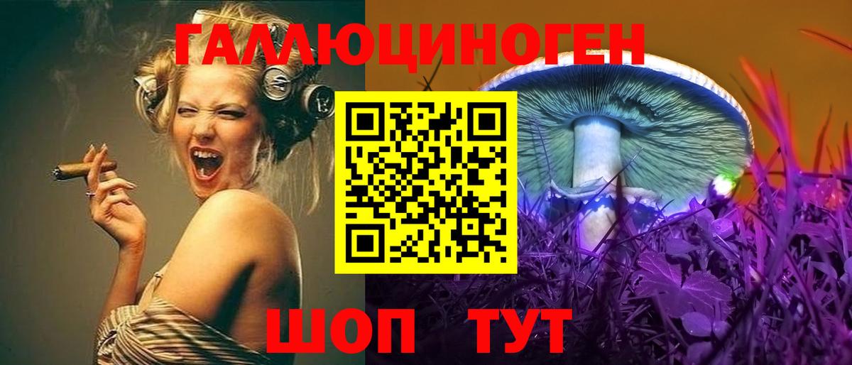 Галлюциногенные грибы GOLDEN TEACHER Елабуга